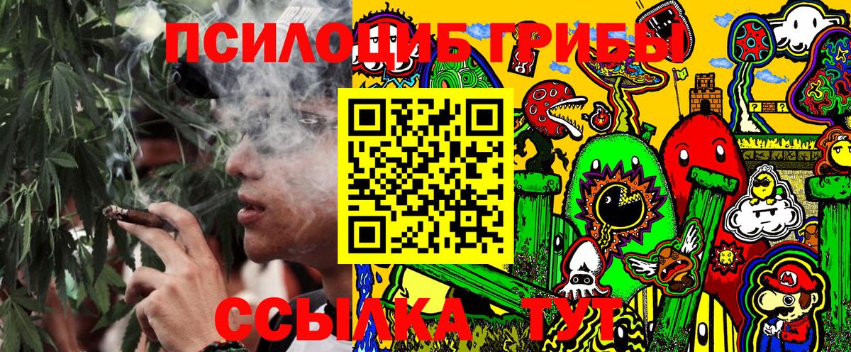 Псилоцибиновые грибы прущие грибы Ковров