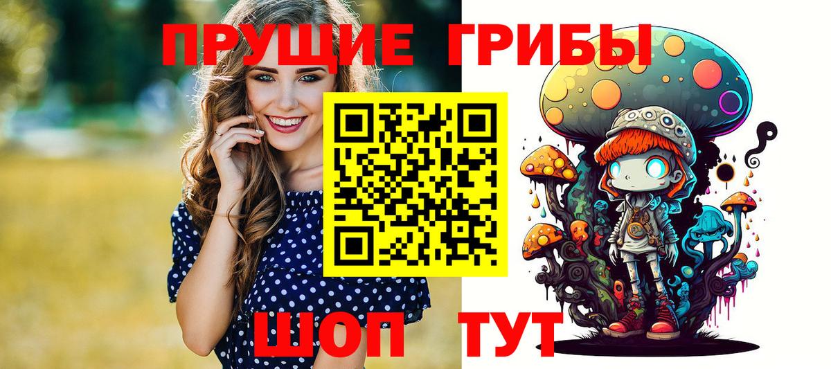 Галлюциногенные грибы GOLDEN TEACHER  Галлюциногенные грибы прущие грибы  Ковров  Вход с VPN 